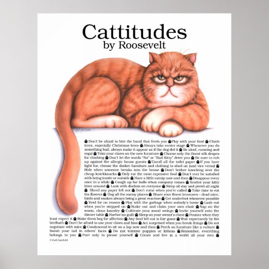 Cattitudes Poster (Vorne)