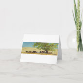 cattle, cow karte (Vorderseite)