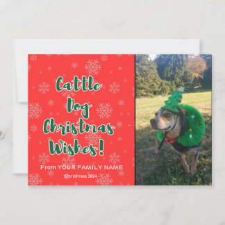 Cattle Dog Weihnachten wünscht 1 Bild