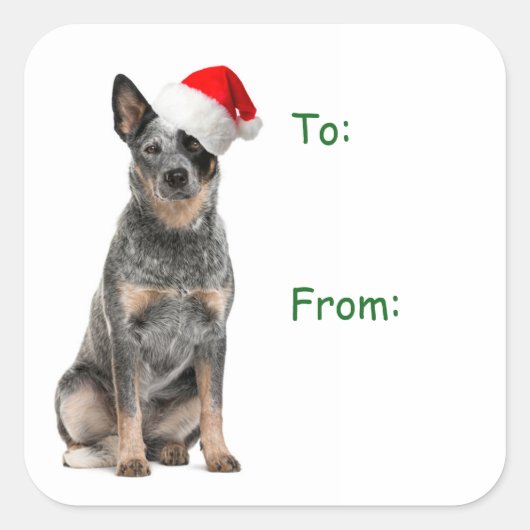 Cattle Dog Weihnachtsgeschenke Stickers (Vorderseite)
