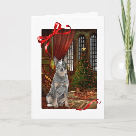 Cattle Dog Weihnachtskarte Karte (Vorderseite)