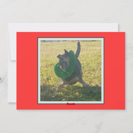 Cattle Dog Weihnachtswünsche Feiertagskarte (Rückseite)
