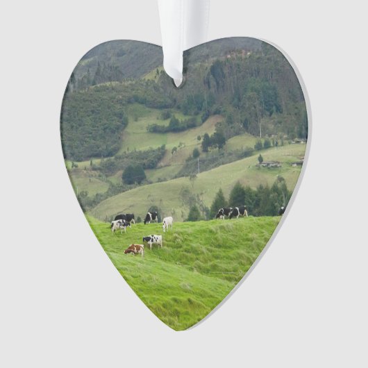 Cattle Farm Ranch Cows Dated Photo Custom Ornament (Vorderseite)