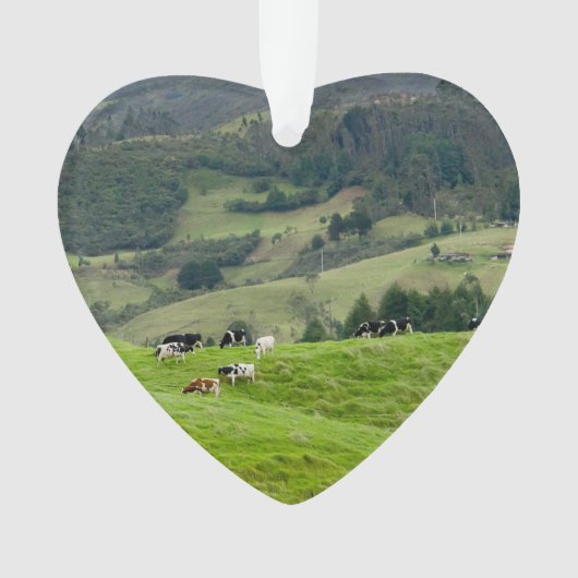 Cattle Farm Ranch Cows Dated Photo Custom Ornament (Vorderseite)