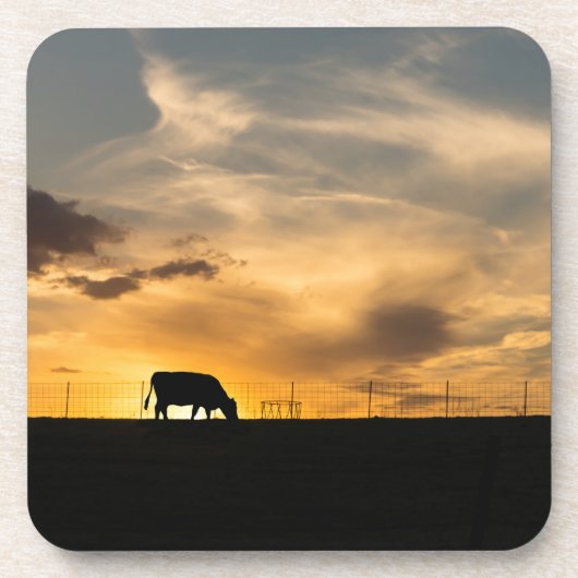 Cattle Sunset Silhouette Getränkeuntersetzer (Vorderseite)