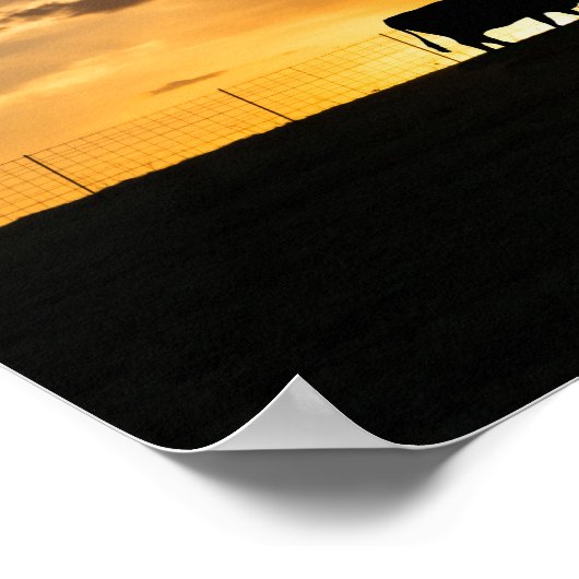 Cattle Sunset Silhouette Poster (Ecke)