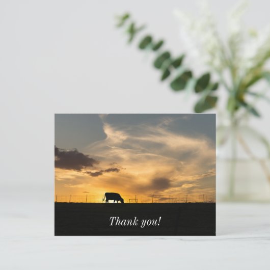 Cattle Sunset Silhouette Postkarte (Stehend Vorderseite)