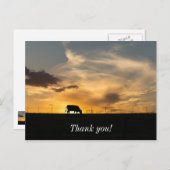 Cattle Sunset Silhouette Postkarte (Vorne/Hinten)