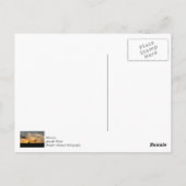 Cattle Sunset Silhouette Postkarte (Rückseite)