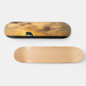 Cattle Sunset Silhouette Skateboard (Horizontal)