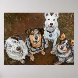 Cattledogs Vieh-Hunde und Heelers Brown Hued Poster