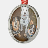 Cattledogs Vieh-Hunde und Heelers schöne Kunst Silbernes Ornament (Links)