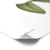 Cattleta trianae poster (Ecke)