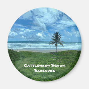 Cattlewash Beach, Barbados Magnet