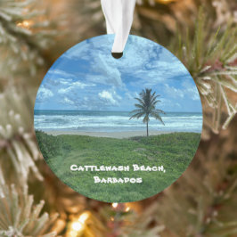 Cattlewash Beach, Barbados Ornament