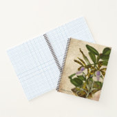 Cattleya Aclandiae Orchid Notebook - Chic Notizblock (Innenseite)