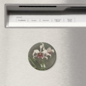 Cattleya Arnoldiana Orchid Magnet (In Situ (Geschirrspüler))