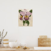 Cattleya Hardyana Orchidee Poster (Küche)