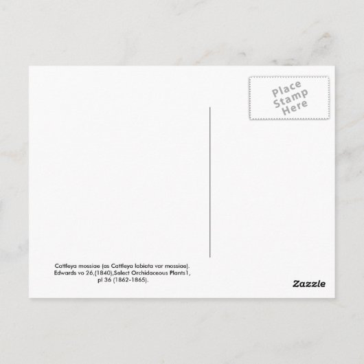 Cattleya mossiae postkarte (Rückseite)