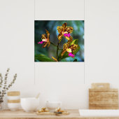 Cattleya Orchid Art Print -24x20 -andere Größen au Poster (Küche)