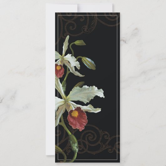 Cattleya Orchid Black Cream - Einladung zur Hochze (Rückseite)