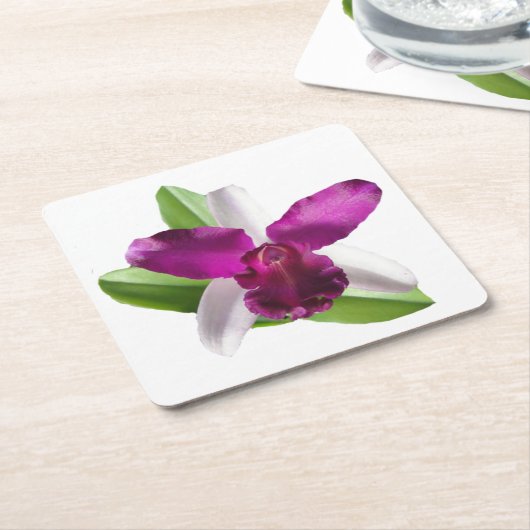 Cattleya Orchid-Blume Rechteckiger Pappuntersetzer (angewinkelt)