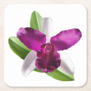 Cattleya Orchid-Blume Rechteckiger Pappuntersetzer