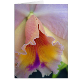 Cattleya Orchid Card