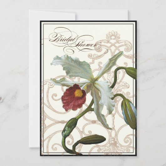 Cattleya Orchid Cream Black - Blumen Brautparty Einladung (Rückseite)