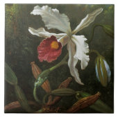 Cattleya Orchid Fliese (Vorderseite)