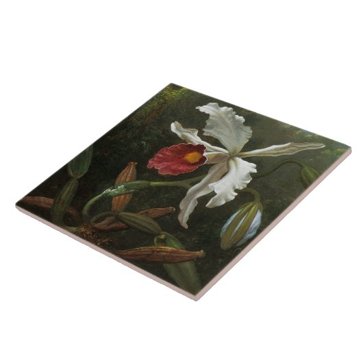 Cattleya Orchid Fliese (Seite)