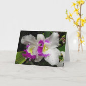 Cattleya Orchid Karte (Gelbe Blume)