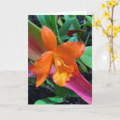 Cattleya Orchid Karte (Gelbe Blume)