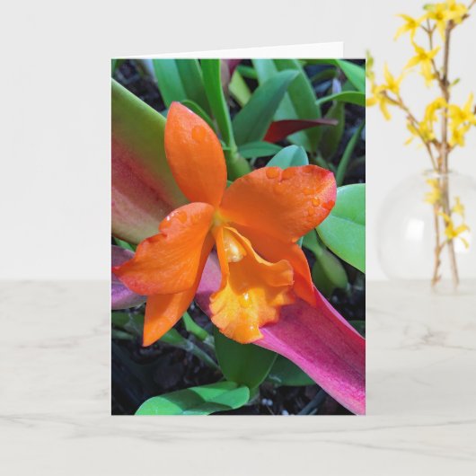 Cattleya Orchid Karte (Gelbe Blume)