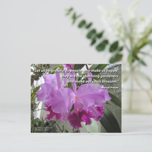Cattleya Orchid Liebe und Freundschaft Postkarte (Stehend Vorderseite)