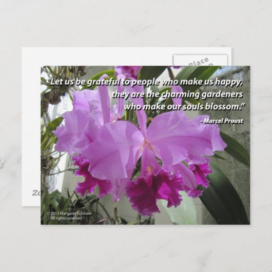 Cattleya Orchid Liebe und Freundschaft Postkarte (Vorne/Hinten)