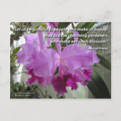 Cattleya Orchid Liebe und Freundschaft Postkarte (Vorderseite)
