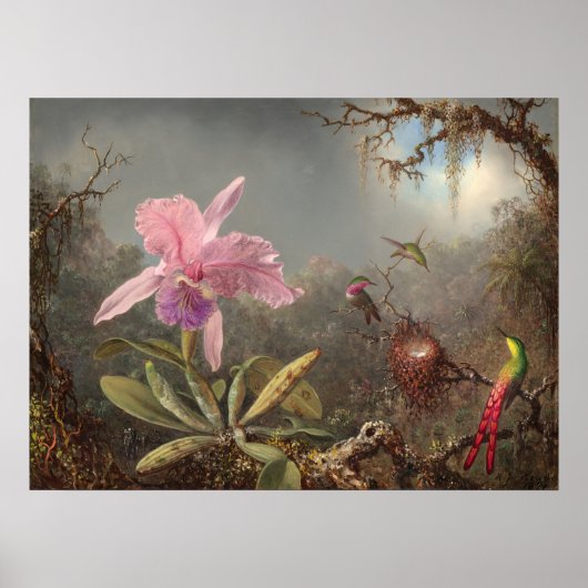 Cattleya Orchid - Martin Heade Fine Art Poster (Vorne)