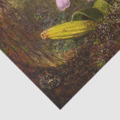 Cattleya Orchid mit zwei brasilianischen Hummingbi Seidenpapier (Detail)