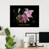 Cattleya Orchid Poster (Heimbüro)