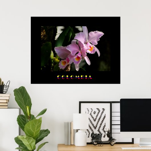 Cattleya Orchid Poster (Heimbüro)