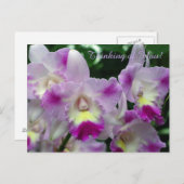 Cattleya Orchid Purple Flowers Postkarte (Vorne/Hinten)