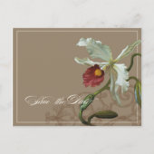 Cattleya Orchid Taupe - Save the Date Postkarte (Vorderseite)