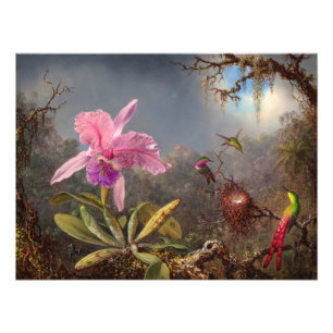 Cattleya Orchid und Three Hummingbirds by Heade Fotodruck