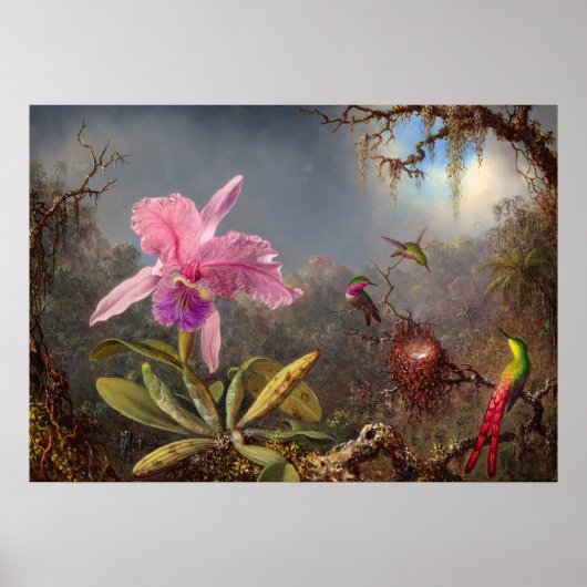 Cattleya Orchid und Three Hummingbirds by Heade Poster (Vorne)