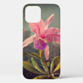 Cattleya Orchid und Three Hummingbirds Heade Case-Mate iPhone Hülle (Rückseite)