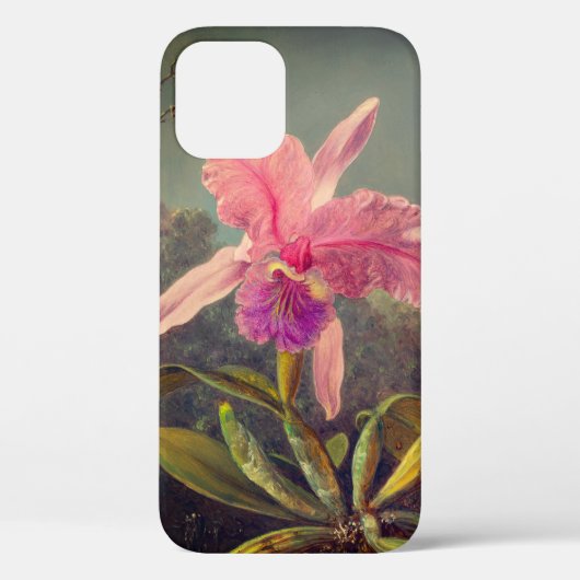 Cattleya Orchid und Three Hummingbirds Heade Case-Mate iPhone Hülle (Rückseite)