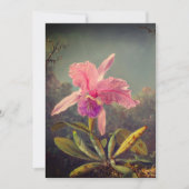 Cattleya Orchid und Three Hummingbirds Heade Einladung (Vorderseite)