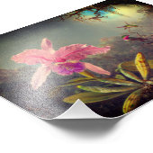 Cattleya Orchid und Three Hummingbirds Heade Fotodruck (Ecke)