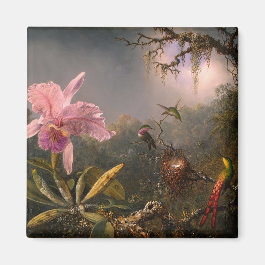 Cattleya Orchid und Three Hummingbirds (Heade) Magnet (Vorne)